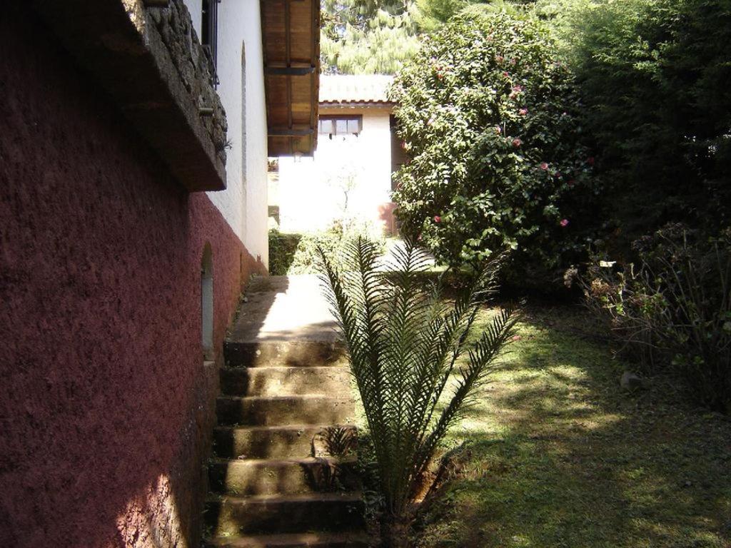 Casa Das Dalias Monte Verde  Buitenkant foto